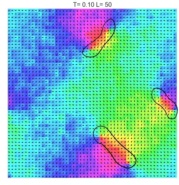 Monte Carlo Simulation of XY Model with Python - Shiling Liang